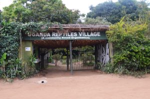 uganda reptile village 