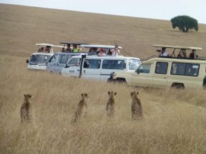 Entebbe Airport taxi services Open roof safari vehicles