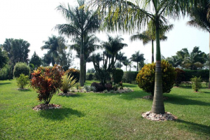 Garden at Airport View Hotel