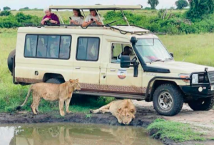 Our African Safari Vehicle the park during wildlife viewing