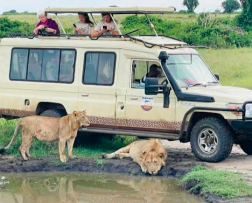 The Safari Van Vehicle during wildlife viewing