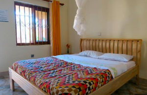 Double room at Gorilla Africa Guesthouse